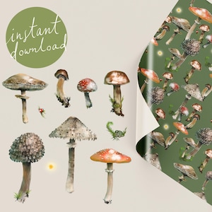 Herbst Pilze Bündel PNG / Magische Natur Illustrationen Clipart / Nahtlos Druck / Muster für kommerzielle Nutzung / Digitaler Download