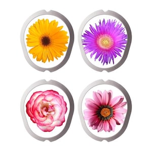 Può includere: Quattro sottobicchieri rotondi bianchi con un bordo argentato, ognuno con un fiore diverso. I sottobicchieri presentano una margherita gialla, un fiore viola, un garofano rosa e una margherita rosa.