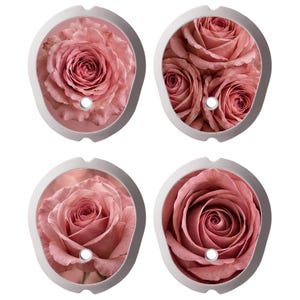 Può includere: Quattro piatti decorativi di forma ovale con immagini dettagliate di rose rosa polvere. Ogni piatto presenta un bordo liscio di colore chiaro e un piccolo foro circolare posizionato vicino al centro inferiore, con motivi floreali in varie disposizioni.