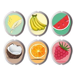 Set of 6 Dexcom G7 Sensor Stickers - Fruits / Fruits