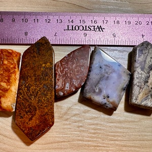 Moss Agate/ Opal  Mix Magnet Set “Diversity”