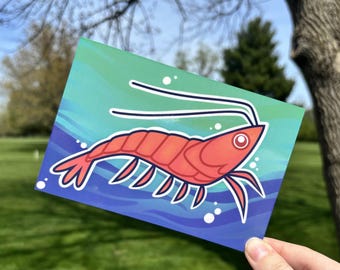 Garnelen Postkarten Druck, "Shrimply Amazing" Pun