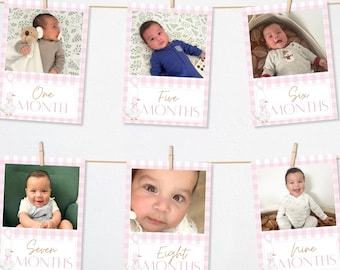 One Silly Goose First Year Photo Banner,  1st Birthday Decor, Editable, Pink Silly Goose, First Year, Milestone Photos, Monthly Photo, 015