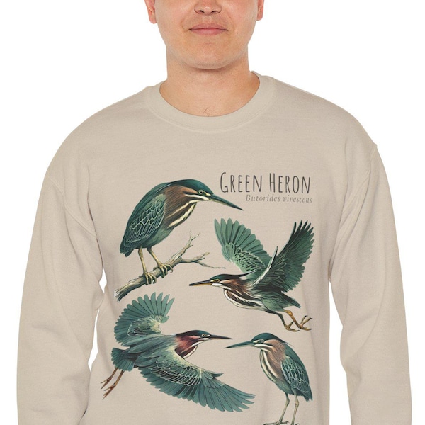 Green Heron Sweatshirt | Unique Bird Design | Nature-Inspired Apparel for Bird Lovers | Bird Collage | Bird Sweater