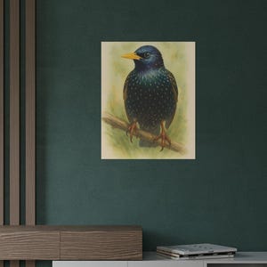 European Starling Poster | Watercolor Bird Art Print | Bird Poster Prints Framed | Nature Wall Decor for Birdwatchers