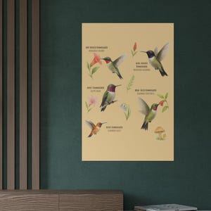 May include: A framed poster featuring illustrations of various hummingbird species with their names and associated flowers. The poster has a beige background and is displayed on a dark green wall. The poster is part of a home decor setup.
