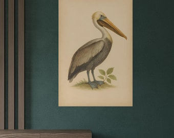 Pelican Wall Art Print | Vintage Coastal Bird Illustration | Watercolor Poster for Ocean-Inspired Decor | Beach House Decor | Bird Poster