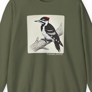 May include: An olive green sweatshirt featuring a square graphic of a woodpecker perched on a branch. The woodpecker is illustrated in black and white with a red head. The text "Dryocopus pileatus" is below the bird.
