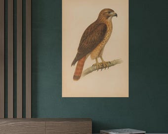 Hawk Wall Art | Vintage Style Bird Illustration Print | Naturalist Watercolor Poster for Rustic or Wildlife-Inspired Decor | Bird Poster