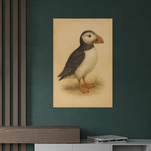 Puffin Poster | Vintage Watercolor Seabird Print | Natural History Atlantic Puffin Wall Art | Bird Wall Art | Bird Poster
