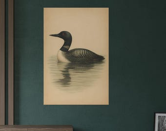 Common Loon Art Print | Vintage-Style Watercolor Bird Illustration | Classic Nature Wall Decor for Bird Lovers | Loon Art | Bird Decor