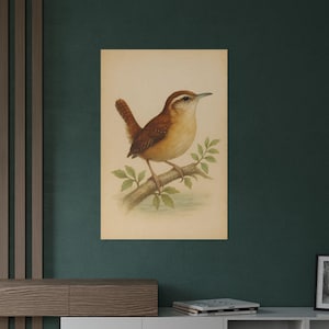 Carolina Wren Art Print | Vintage Watercolor Bird Illustration | Classic Nature Wall Decor for Bird Lovers | Bird Poster | Wren Poster