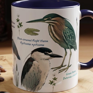 May include: A white ceramic mug with a blue rim and handle features a watercolor illustration of two birds, a green heron and a black-crowned night heron, with the scientific names "Butorides virescens" and "Nycticorax nycticorax" printed below the birds.