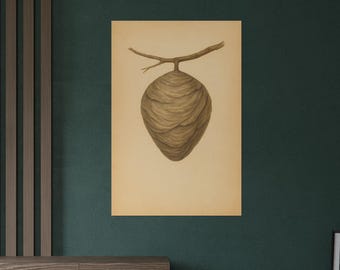 Beehive Poster | Vintage Insect Illustration | Natural History Wall Art | Bee Poster | Unique Bee Decor | House Decor
