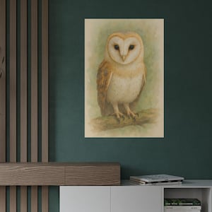 Barn Owl Poster | Watercolor Bird Art Print | Bird Poster Prints Framed | Nature Wall Decor for Birdwatchers