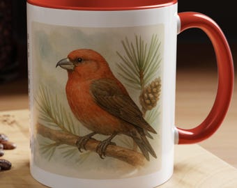 Puede incluir: Una taza de cerámica blanca con un borde y un asa rojos. La taza presenta una ilustración de acuarela de un piquituerto rojo posado en una rama de pino.