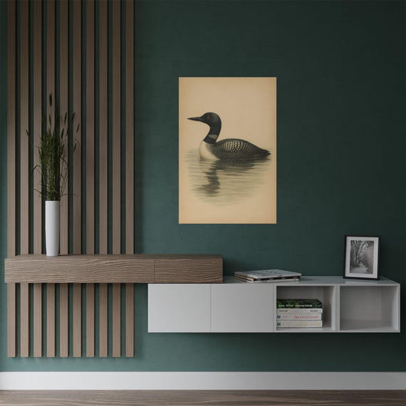Common Loon Art Print | Vintage-Style Watercolor Bird Illustration | Classic Nature Wall Decor for Bird Lovers | Loon Art | Bird Decor