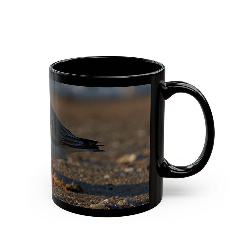 Piping Plover Mug, Bird Mug, Bird Name Mug, Plover Bird, Bird Watcher