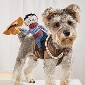 May include: A small, fluffy, gray and brown dog wearing a brown cowboy costume with a plush cowboy doll riding on its back. The doll is wearing a blue and white plaid shirt, brown vest, blue jeans, and a brown cowboy hat.