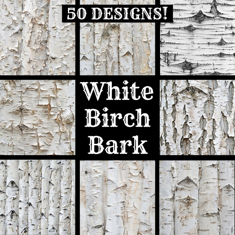 White Birch Bark Digital Paper: Vintage Scrapbook Journal (digital ...