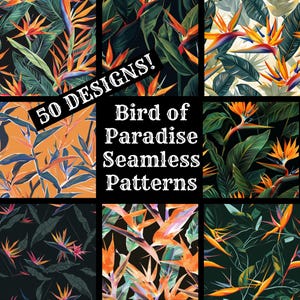 Naadloos digitaal papier paradijsvogel, paradijsvogel afdrukbaar plakboek papier naadloze texturen, digitale Instant Download