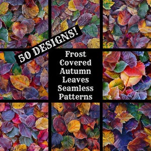 May include: A collage of nine images showing frost-covered autumn leaves in various colors, including red, orange, yellow, and purple. The text "50 DESIGNS!" is in the top left corner, and the text "Frost Covered Autumn Leaves Seamless Patterns" is in the center.