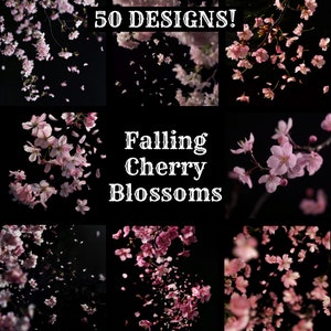 Fallende Kirschblüten Papier, Fallende Kirschblüten Papier, Fallende Kirschblüten Journal Zubehör, Journal Einsätze