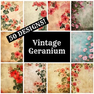 May include: A collage of 50 vintage geranium designs. The designs feature pink and red flowers on a variety of backgrounds, including textured paper, blue and green watercolor, and faded floral patterns. The text "50 DESIGNS! Vintage Geranium" is displayed in white on a black background.