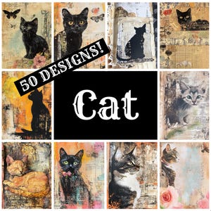 a collage of cat pictures with the words cat