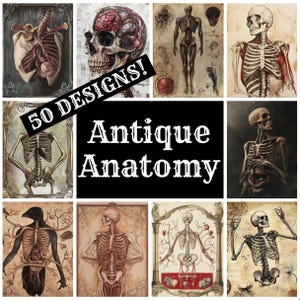 Carta per diario di anatomia antica, carta stampabile di anatomia antica, forniture per diari vintage, inserti per diari