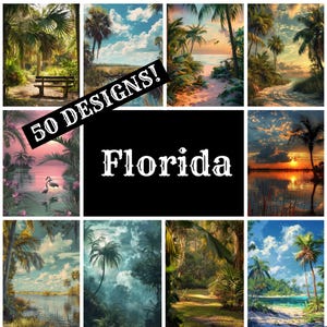 Florida Journal Papier, Florida bedruckbares Papier, Vintage Journal Zubehör, Journal Einsätze