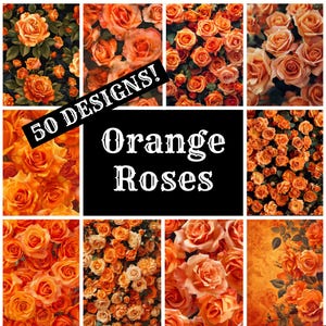 May include: A collage of 50 different designs of orange roses. The text "50 Designs! Orange Roses" is displayed in the center of the collage.