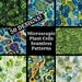 Microscopic Plant Cell Pattern: 50 Seamless Digital Papers (PNG) - Etsy