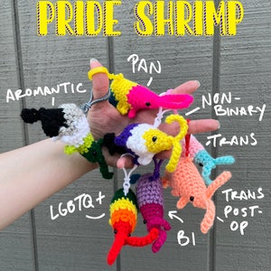 May include: A selection of handmade crochet shrimp keyrings in various colours, each representing different LGBTQ+ identities. The text "PRIDE SHRIMP" is displayed above the shrimp.