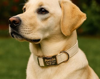 Personalized Dog Collar Leash With Engraved Pet Name, Metal Buckle, Wedding Puppy Gift