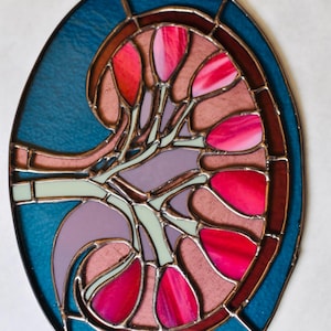 May include: Stained glass kidney art piece. The artwork features a kidney design with vibrant red, pink, and purple hues, framed by a dark brown border and a blue background. The piece is oval-shaped and has a metal loop for hanging.