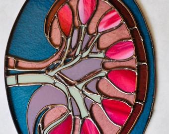 Pre Order Stained Glass Anatomical Kidney