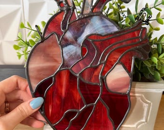 May include: A stained glass anatomical heart suncatcher featuring deep red, crimson, and translucent white glass segments held together by dark metal solder lines, designed in the shape of a human heart with visible arteries and veins.