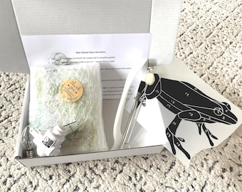 Custom Beginner-Stained Glass Kits - Birds