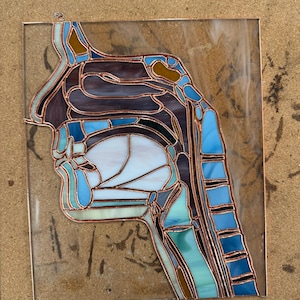 Può includere: Un pannello in vetro colorato che raffigura una sezione trasversale laterale dell'anatomia della testa e del collo umani. Il pezzo presenta vari segmenti di vetro in tonalità blu, viola, bianco e ambra uniti da linee di saldatura in rame.