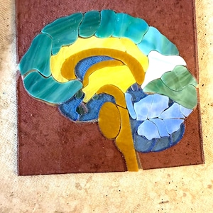 May include: A colorful mosaic depicting a cross-section of a human brain. The artwork features various shades of blue, green, yellow, and brown, arranged to represent different brain regions. The mosaic is set on a square, reddish-brown tile.