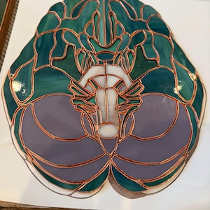Stained Glass Pattern for Anatomical Brain with Cranial Nerves PDF PNG