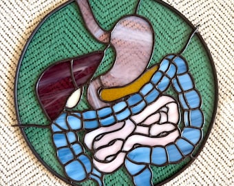 Pre Order for Stained Glass GI Tract