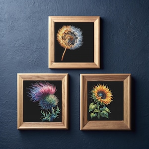 May include: Three framed botanical art prints. The top print features a dandelion seed head, the bottom left a thistle, and the bottom right a sunflower. Each image is set against a black background and framed in light wood.
