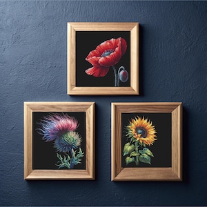 以下が含まれることがあります： 黒い背景の額装された花のプリントが3つ。上のプリントは赤いケシの花。左のプリントは紫のオニユリ。右のプリントは黄色のひまわりです。