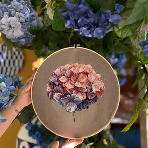 Puede incluir: Un bastidor de bordado circular de madera que contiene un panel de tela con un dise&ntilde;o detallado de una flor de hortensia. La flor presenta un degradado de p&eacute;talos rosas, melocot&oacute;n y morados, con un peque&ntilde;o tallo verde sobre un fondo gris.