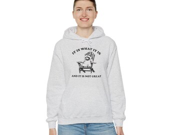 Raccoon Adirondack Chair SVG, PNG, and JPEG File