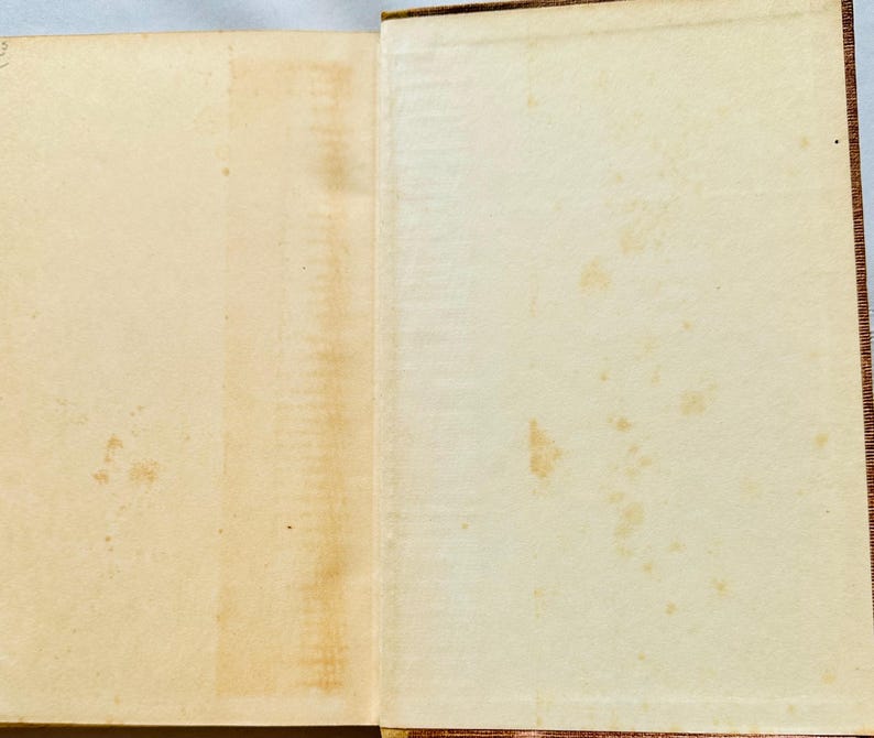 May include: An open book with blank pages. The pages are slightly yellowed and have some brown spots.