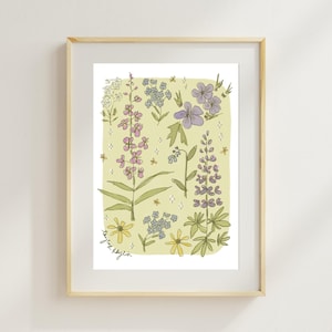 Alaska Wildflowers Art Print by Taylor Raylin – Floral Illustration | Fireweed, Lupine, Forget-Me-Not Poster
