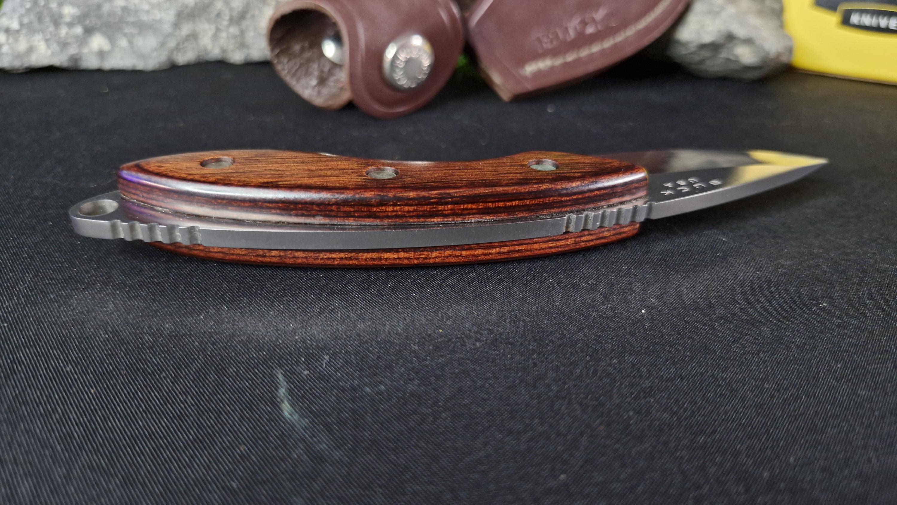 Buck 196 Mini Alpha Hunter Knife, Rosewood Handle, Leather Sheath